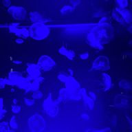 紺青。さんのアイコン画像