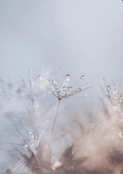 ♡Ｉ Lᵒᵛᵉᵧₒᵤ♡🎧 ̖́-;‧͙～♬🫶🏻🎼¨*•.•*¨🎼🎧 ̖́-❤︎