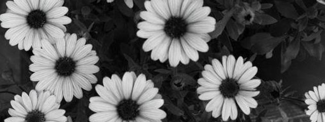 瑠菜@ﾇﾝｯ #プリキュア再燃中さんの壁紙画像