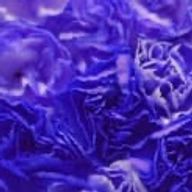 FMさんのアイコン画像