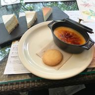 東(森)🪽💨@リムられると悲しいです。さんのアイコン画像