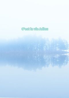 C’est la vie Adieu