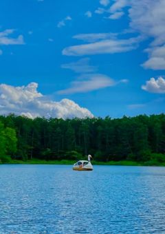 実況者してみたされてみた2