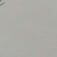 🦋さんのアイコン画像