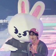 🐰skz×stay🐶さんのアイコン画像