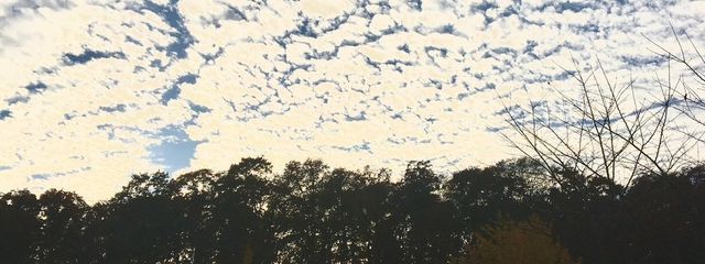 アクト 一時休止〜さんの壁紙画像