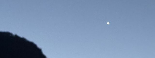 レオさんの壁紙画像