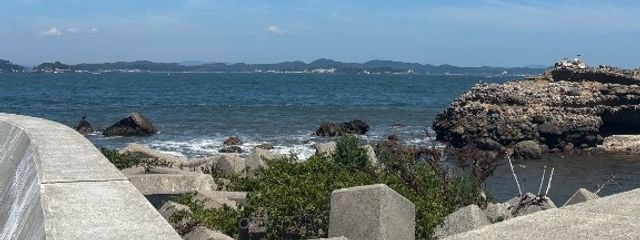 yさんの壁紙画像