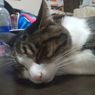 ユキさんのアイコン画像