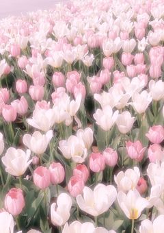 桃橙だけの部屋💗🧡