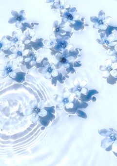 青橙だけの部屋💙🧡