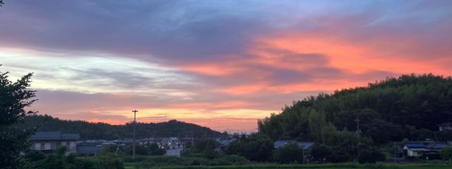 🦋ちひろ🦋さんの壁紙画像