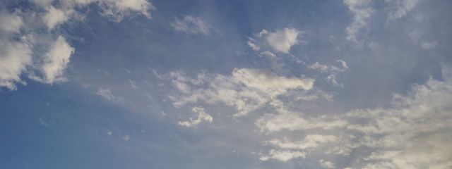 SUMIREさんの壁紙画像