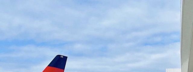 なな。🐯さんの壁紙画像