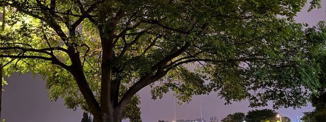 ☺︎さんの壁紙画像