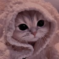 響(^ω^)さんのアイコン画像