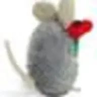 ふーきさんのアイコン画像