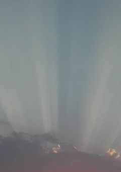 本当は一緒に過ごしてはいけない存在だと思う僕ら