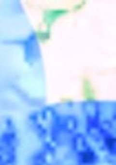 俺らはなにも…！！