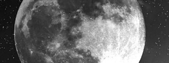 蓮水さんの壁紙画像