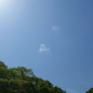 misaさんのアイコン画像