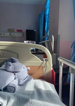 わたしのねがいがかなうまで