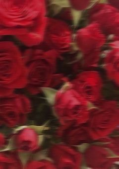 幼馴染はカップル♡ _💙❤️