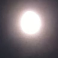 月影　月歌さんのアイコン画像