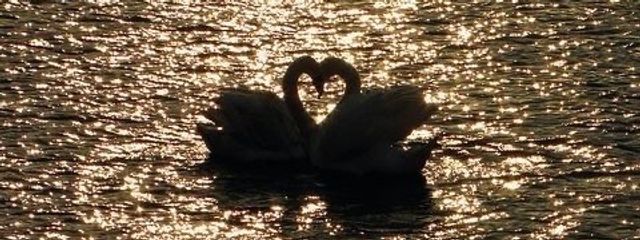 아현さんの壁紙画像