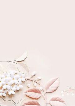 弟はすとぷり、姉は異能力者