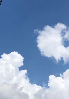 幸せのカタチ，