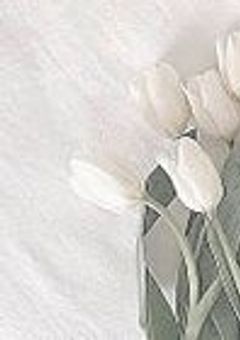  A V 上 の 愛 だ け ど  。