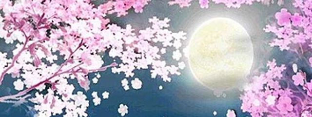 兎環茄(とわな）さんの壁紙画像