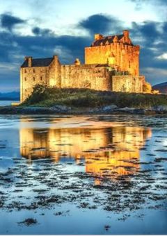 共存も共生もできない僕たち