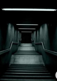 飛ばないことり