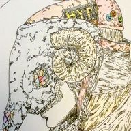 らいむ。さんのアイコン画像