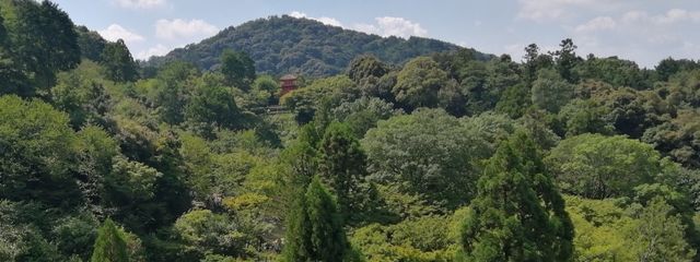 みかん 🐶🐱🐾🌹📚　フォロセ中さんの壁紙画像