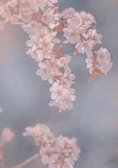 りれ~