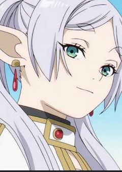 フリーレンの妹は、魔法界に居た!