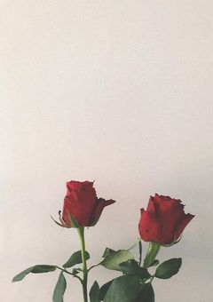 愛してもいいかい?