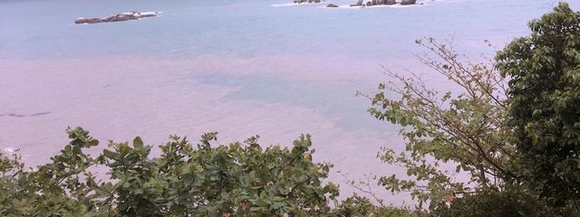 ぷらるさんの壁紙画像