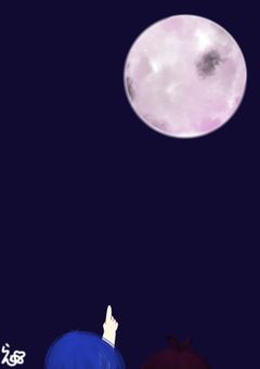 綺麗な月夜に