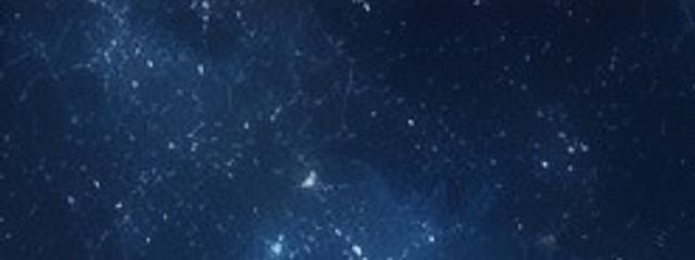 まり☪️さんの壁紙画像