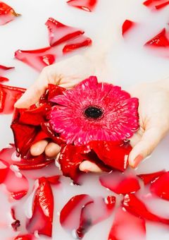 花吐き病の莉犬くん