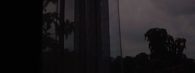 　舞蝶ㄘゃԽさんの壁紙画像