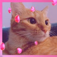 斗亜さんのアイコン画像