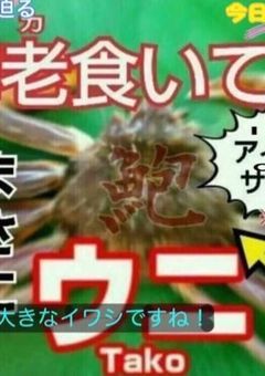 穴に落ちたらなんかラップバトル申し込まれてなんか骨がいっぱい居てあと悪魔おr((