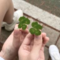 学校ドカ鬱横転チャンネルさんのアイコン画像