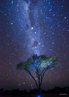 きっとそこにあった物語