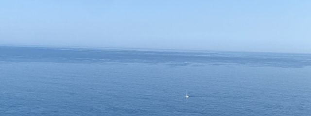 DNさんの壁紙画像